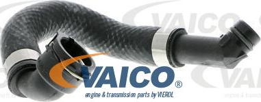 VAICO V20-1267 - Шланг радиатора autosila-amz.com