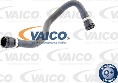 VAICO V20-1753 - Шланг радиатора autosila-amz.com