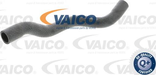 VAICO V20-1709 - Шланг радиатора autosila-amz.com