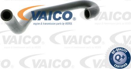 VAICO V20-1701 - Шланг радиатора autosila-amz.com