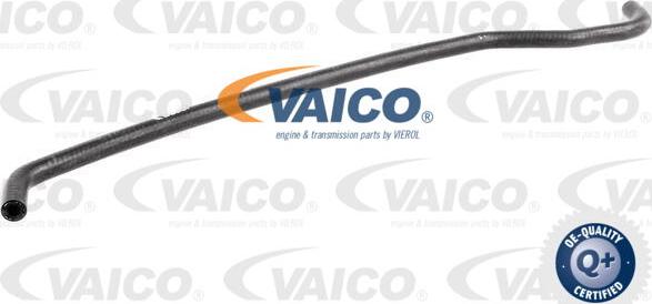 VAICO V20-1779 - Шланг радиатора autosila-amz.com