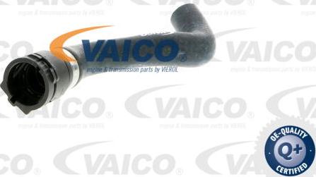 VAICO V20-1771 - Шланг радиатора autosila-amz.com