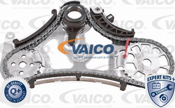 VAICO V20-3918 - Комплект цепи, привод масляного насоса autosila-amz.com