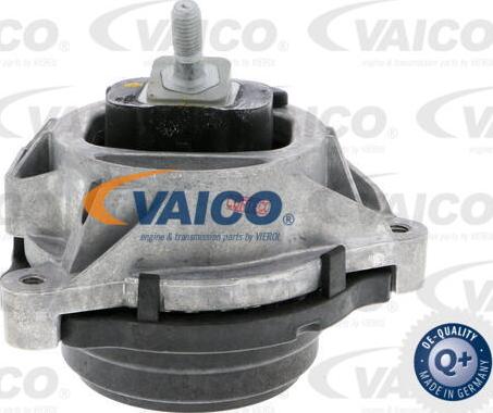 VAICO V20-3231 - Подушка, опора, подвеска двигателя autosila-amz.com