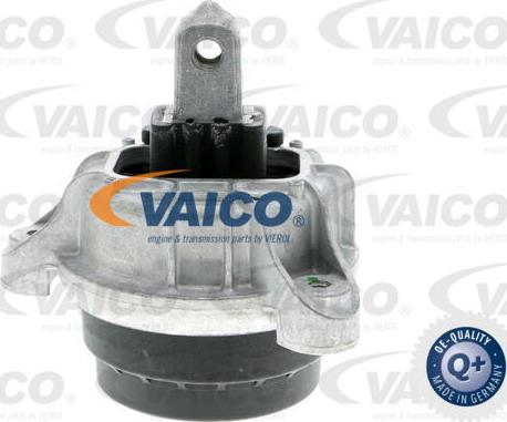 VAICO V20-3237 - Подушка, опора, подвеска двигателя autosila-amz.com