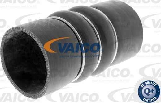 VAICO V20-2993 - Трубка, нагнетание воздуха autosila-amz.com