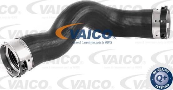 VAICO V20-2678 - Трубка, нагнетание воздуха autosila-amz.com
