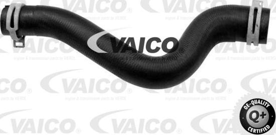 VAICO V22-0742 - Шланг радиатора autosila-amz.com