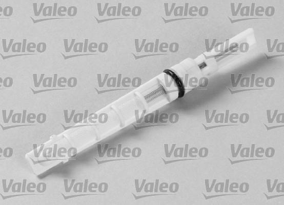 Valeo 508970 - Форсунка, расширительный клапан autosila-amz.com