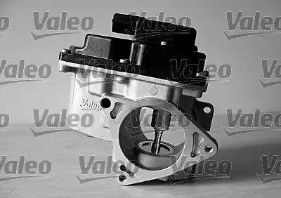 Valeo 700415 - Клапан возврата ОГ autosila-amz.com