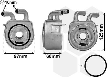Van Wezel 18013706 - Масляный радиатор, двигательное масло autosila-amz.com