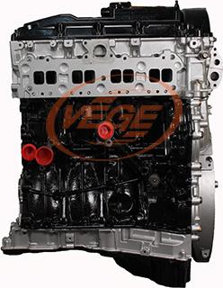 Vege 52480110 - Двигатель в сборе autosila-amz.com