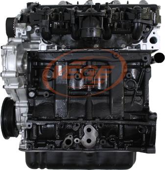 Vege 09540110 - Двигатель в сборе autosila-amz.com