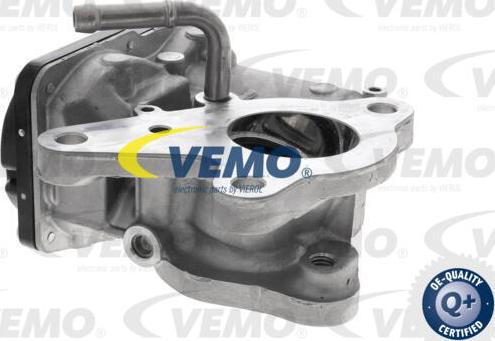 Vemo V46-63-0024 - Клапан возврата ОГ autosila-amz.com