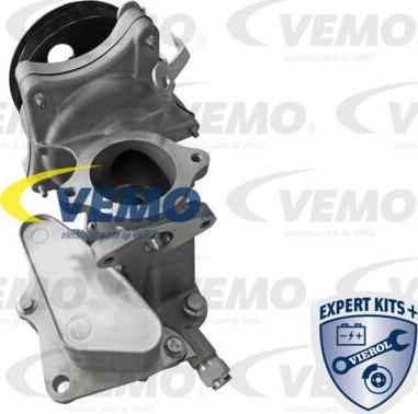 Vemo V40-60-2129 - Масляный радиатор, двигательное масло autosila-amz.com