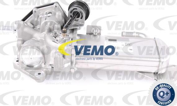 Vemo V10-63-0048 - Клапан возврата ОГ autosila-amz.com