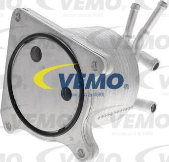 Vemo V33-60-0012 - Масляный радиатор, автоматическая коробка передач autosila-amz.com