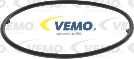 Vemo V33-60-0012 - Масляный радиатор, автоматическая коробка передач autosila-amz.com