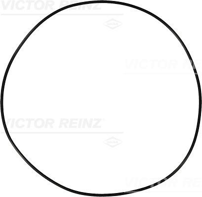 Victor Reinz 40-76910-10 - Уплотнительное кольцо autosila-amz.com