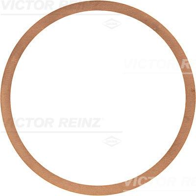 Victor Reinz 40-70466-00 - Уплотнительное кольцо autosila-amz.com