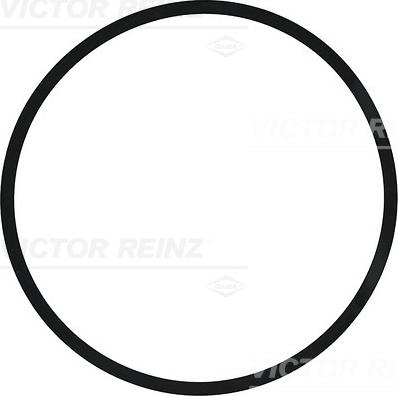 Victor Reinz 40-77210-00 - Уплотнительное кольцо autosila-amz.com
