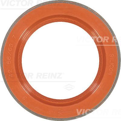 Victor Reinz 81-35876-00 - Уплотняющее кольцо, коленчатый вал autosila-amz.com