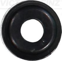Victor Reinz 70-25169-00 - Уплотнительное кольцо, стержень клапана autosila-amz.com