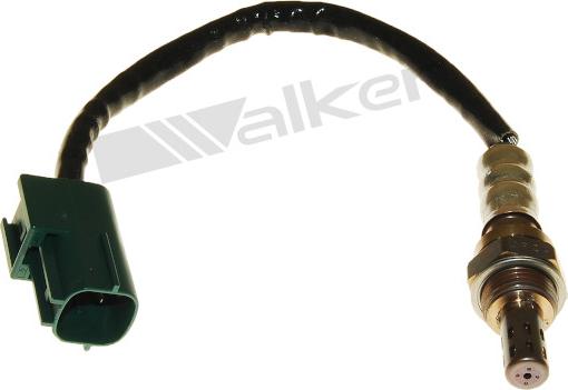 Walker Products 250-24951 - Лямбда-зонд, датчик кислорода autosila-amz.com