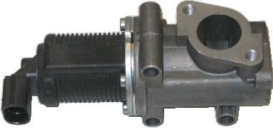 WE PARTS 330690023 - Клапан возврата ОГ autosila-amz.com