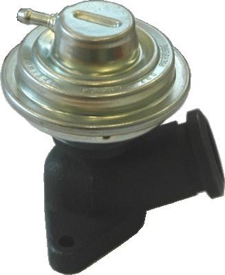 WE PARTS 330690670 - Клапан возврата ОГ autosila-amz.com