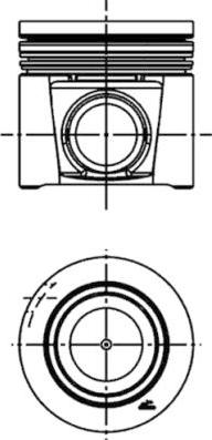 Wilmink Group WG1946697 - Поршень autosila-amz.com