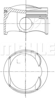 Wilmink Group WG1940986 - Поршень autosila-amz.com