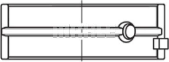 Wilmink Group WG1937919 - Подшипник коленвала autosila-amz.com