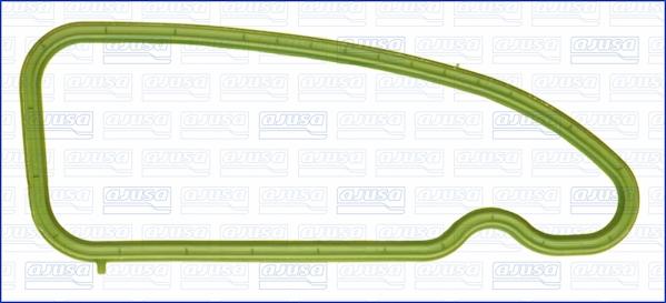 Wilmink Group WG1451395 - Прокладка, впускной коллектор autosila-amz.com