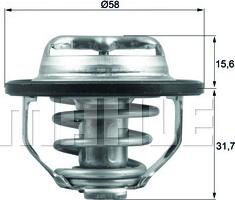 Wilmink Group WG1426520 - Термостат охлаждающей жидкости / корпус autosila-amz.com