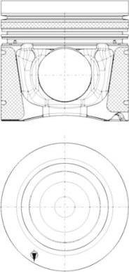 Wilmink Group WG1016464 - Поршень autosila-amz.com