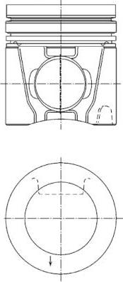 Wilmink Group WG1016478 - Поршень autosila-amz.com