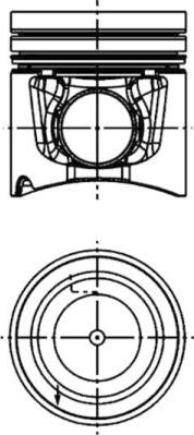 Wilmink Group WG1016698 - Поршень autosila-amz.com