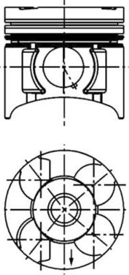 Wilmink Group WG1016602 - Поршень autosila-amz.com