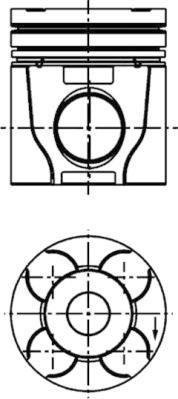 Wilmink Group WG1016673 - Поршень autosila-amz.com