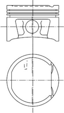 Wilmink Group WG1023707 - Поршень autosila-amz.com