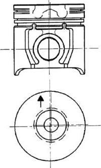 Wilmink Group WG1022369 - Поршень autosila-amz.com