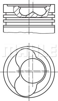 Wilmink Group WG1150557 - Поршень autosila-amz.com