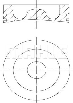 Wilmink Group WG1104600 - Поршень autosila-amz.com