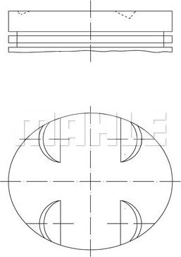 Wilmink Group WG1104630 - Поршень autosila-amz.com