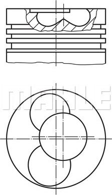 Wilmink Group WG1104390 - Поршень autosila-amz.com