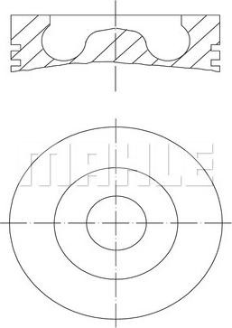 Wilmink Group WG1104356 - Поршень autosila-amz.com