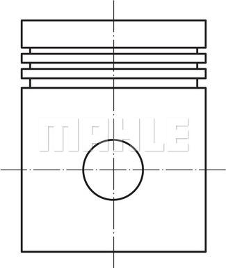 Wilmink Group WG1104306 - Поршень autosila-amz.com