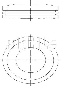 Wilmink Group WG1104245 - Поршень autosila-amz.com