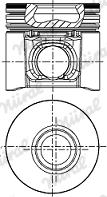 Wilmink Group WG1175181 - Поршень autosila-amz.com